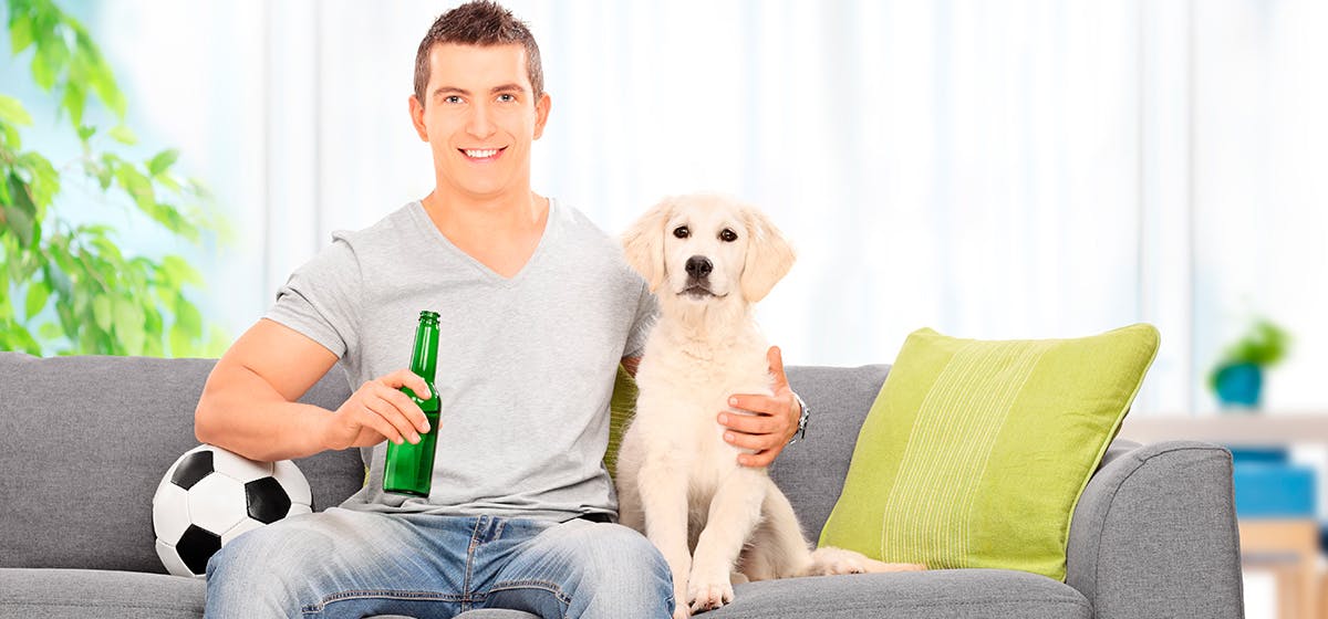 can-dogs-taste-beer