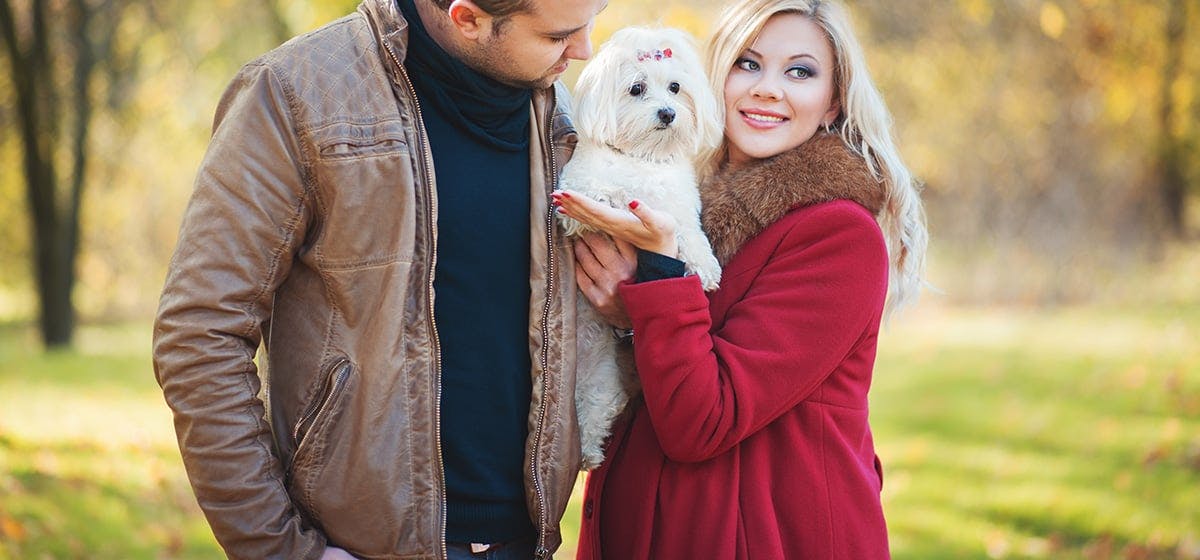 History of Can Dogs Tell a Baby's Gender?