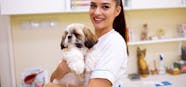How Long Do Dogs Live With Kidney Failure