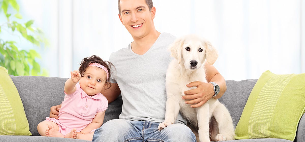 can-dogs-recognize-human-family-members