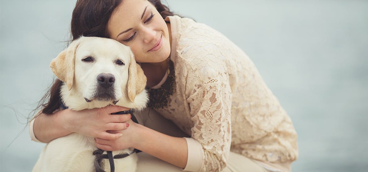 can-dogs-tell-if-youre-depressed