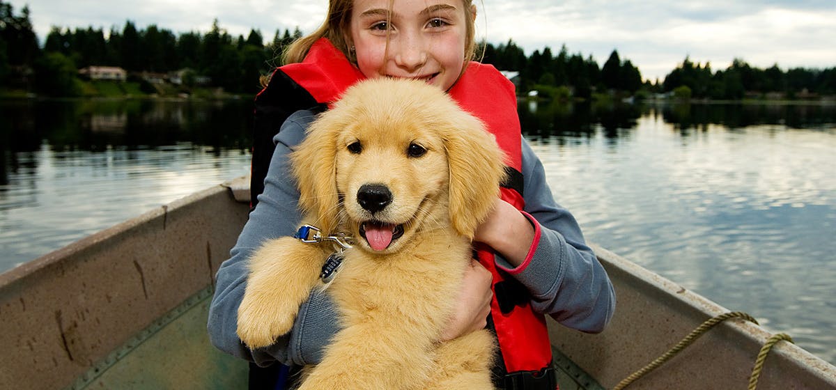 can-dogs-live-on-sailboats