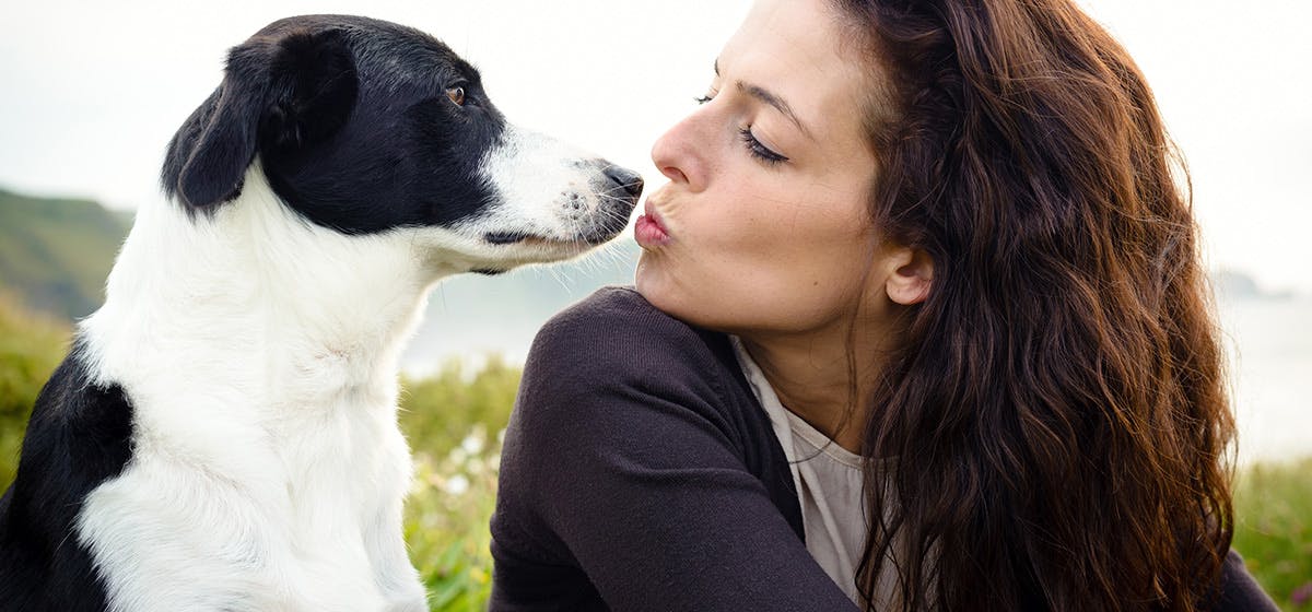 Can Dogs Feel When You Kiss Them Wag