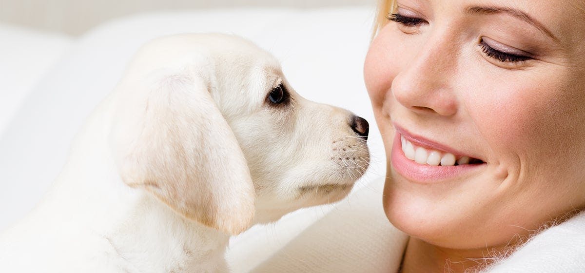 dogs with human teeth