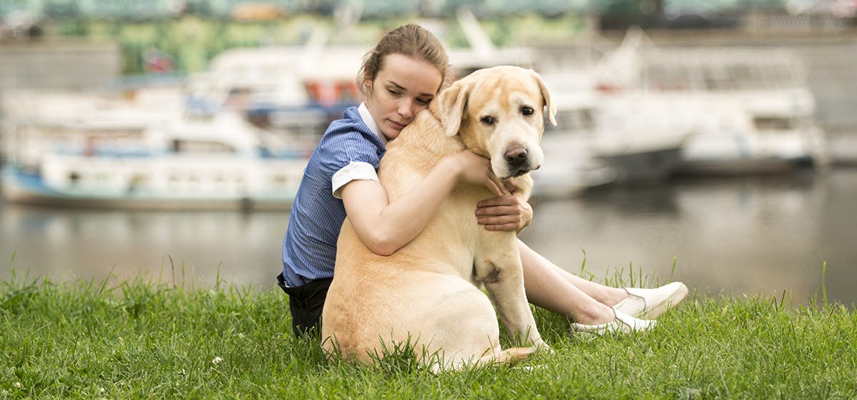 can dogs tell when you cry