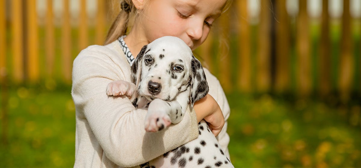 do-dogs-hear-their-tummies-gurgle