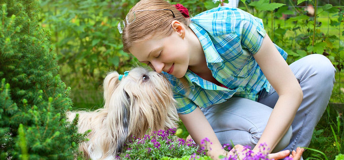 do dog like perfume