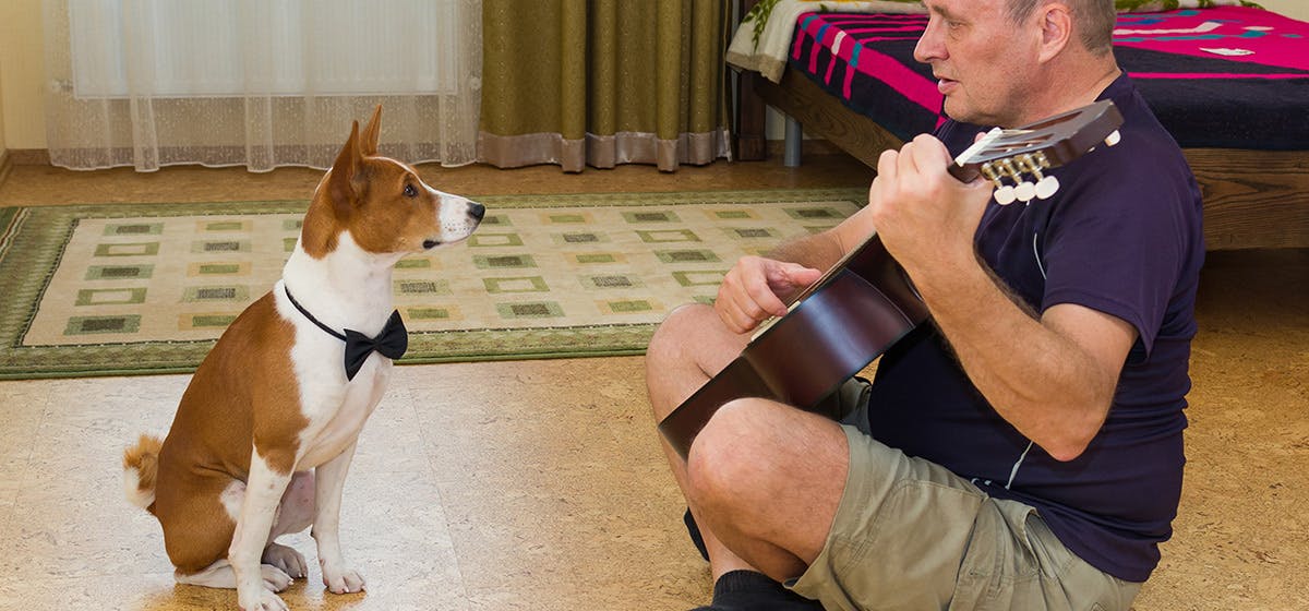 Opera Singing Dog