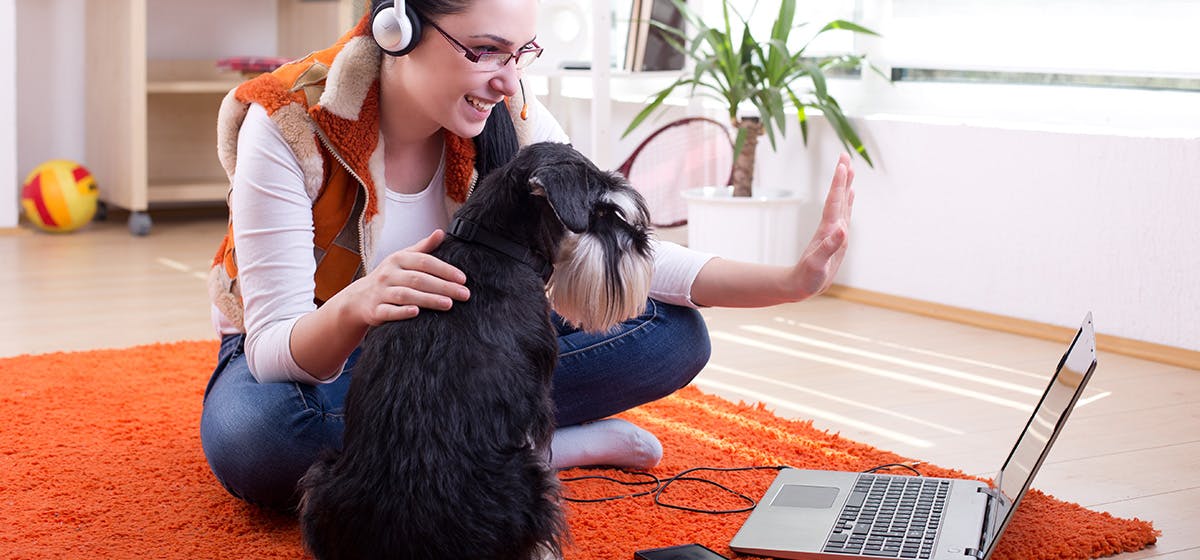 can-dogs-hear-facetime