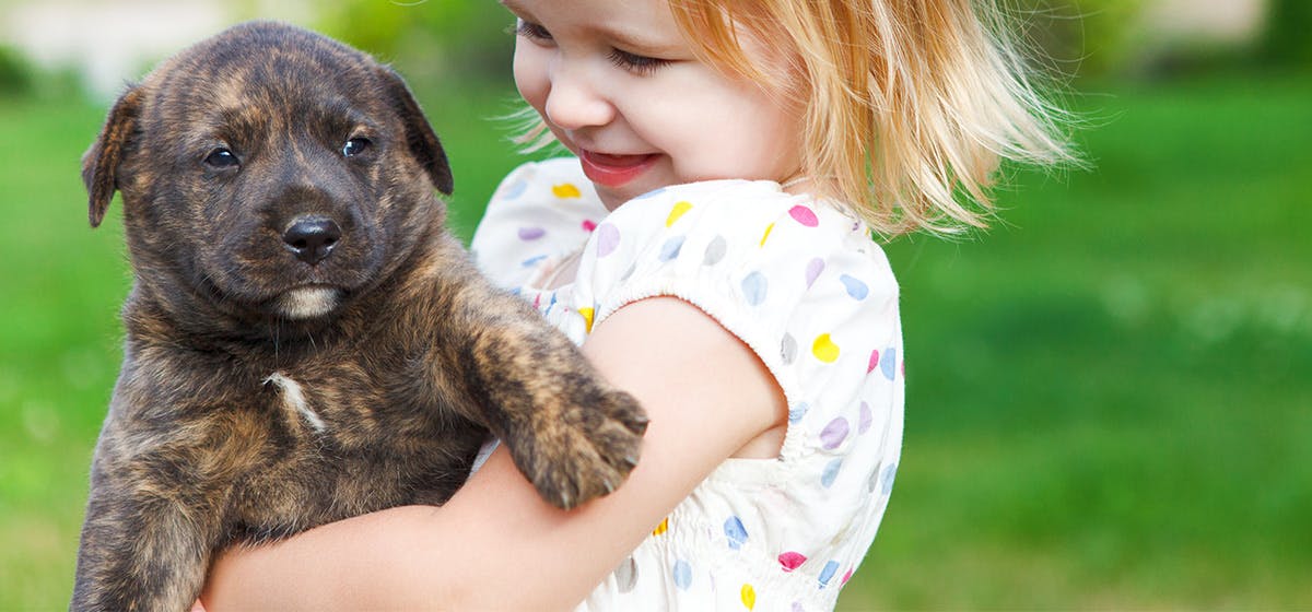 can-dogs-hear-better-than-humans