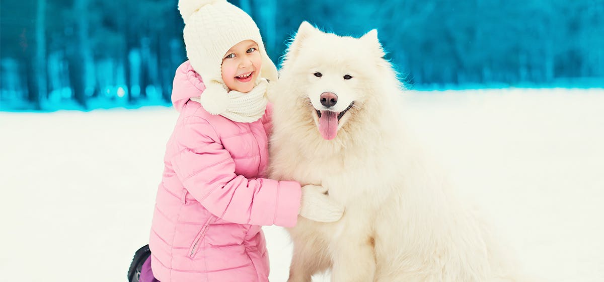 dog with human smile