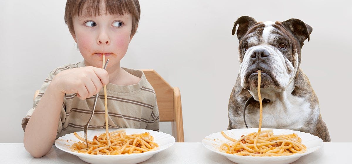 a kids eating spaghettis along with a dog eating the same