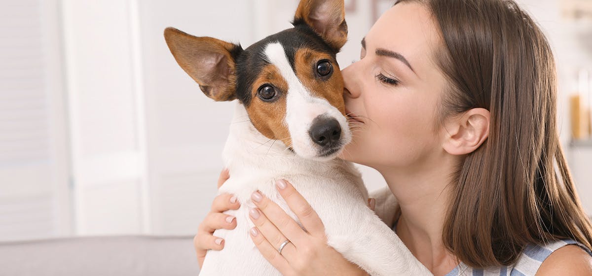 Can Dogs Feel When You Kiss Them Wag