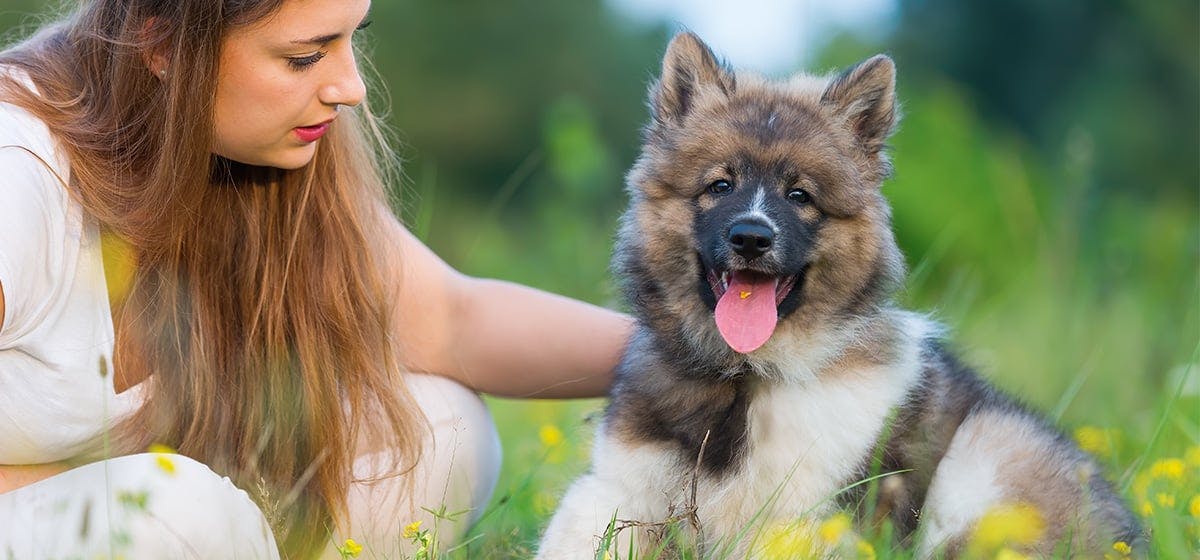 can a dog smell drugs in your stomach