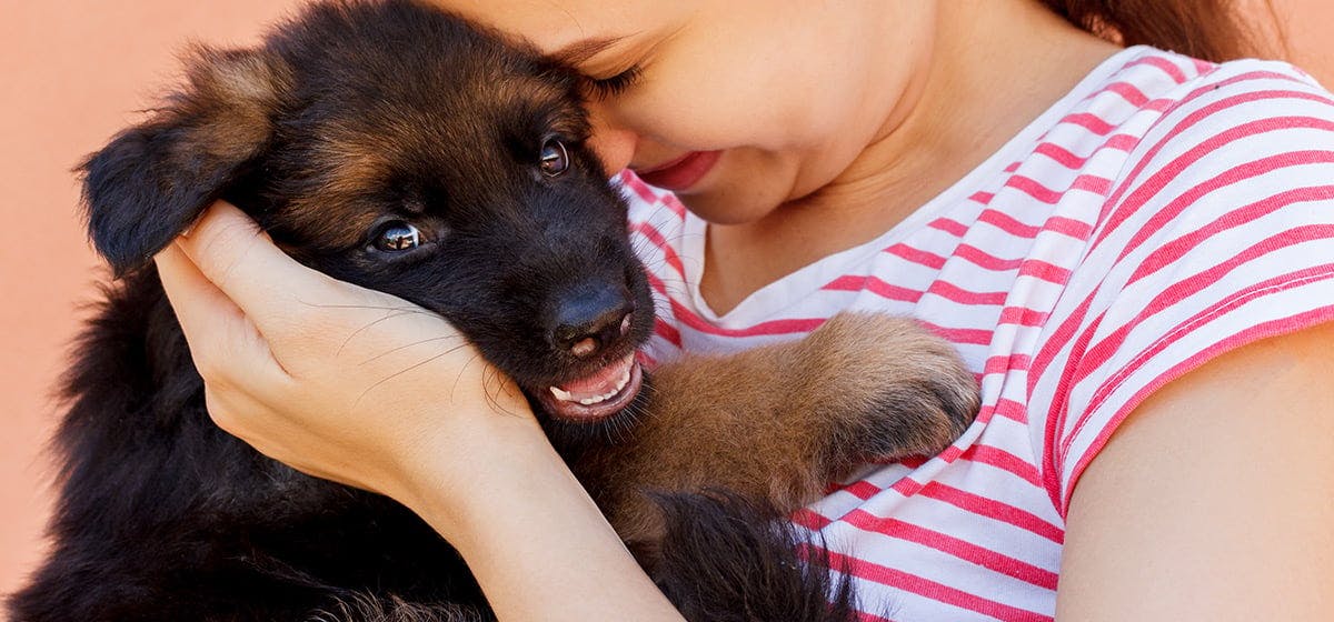 are-dogs-really-smiling-at-us-live-science