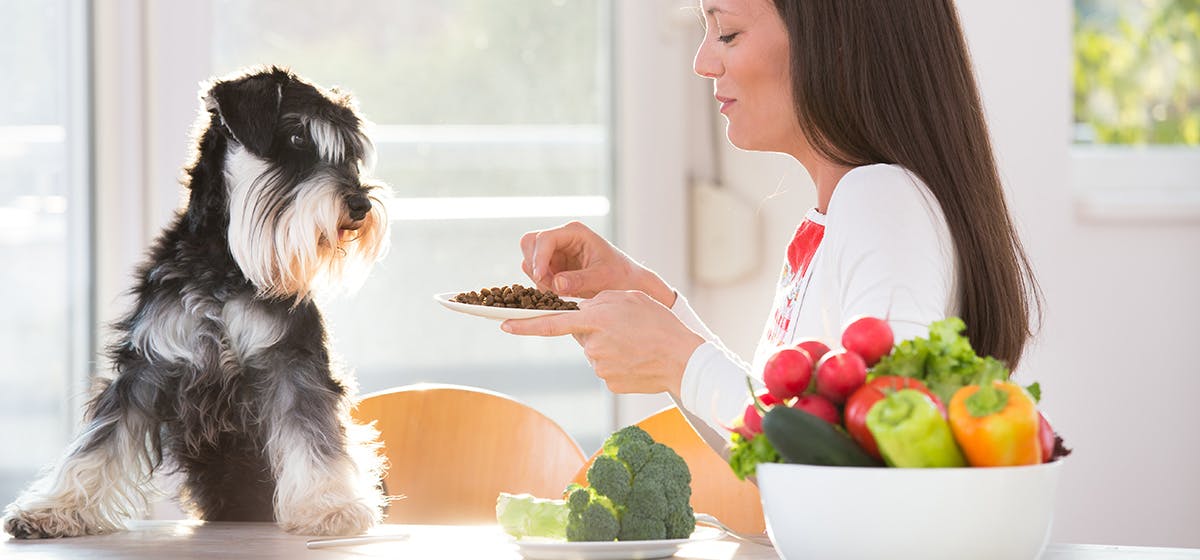 can dogs taste broccoli