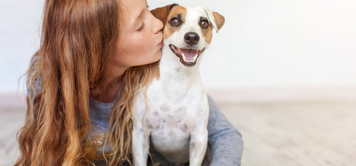 can-dogs-live-in-two-different-homes