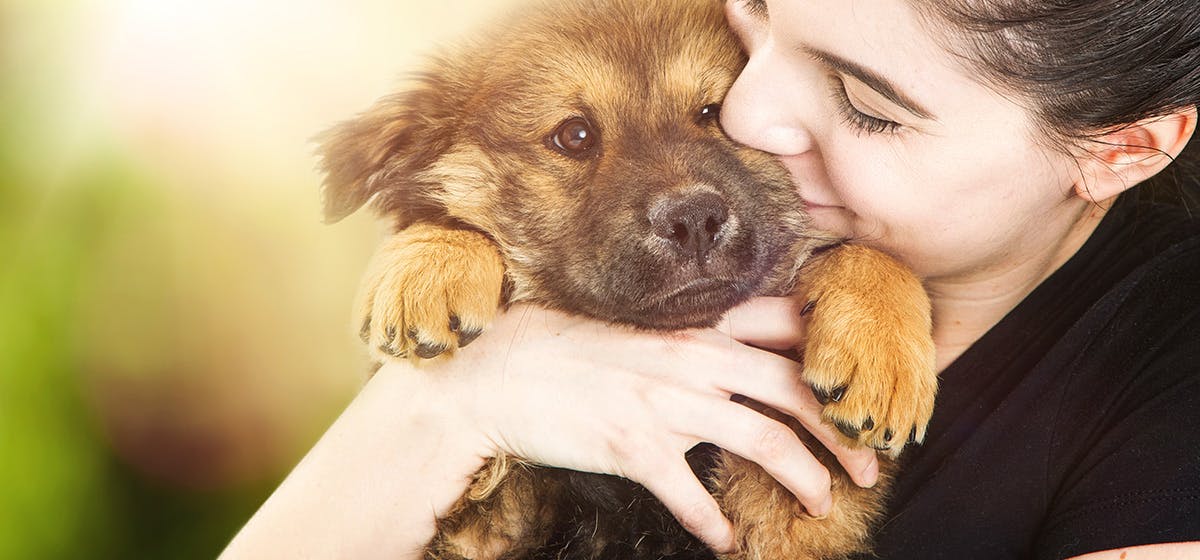 can-dogs-remember-their-owners