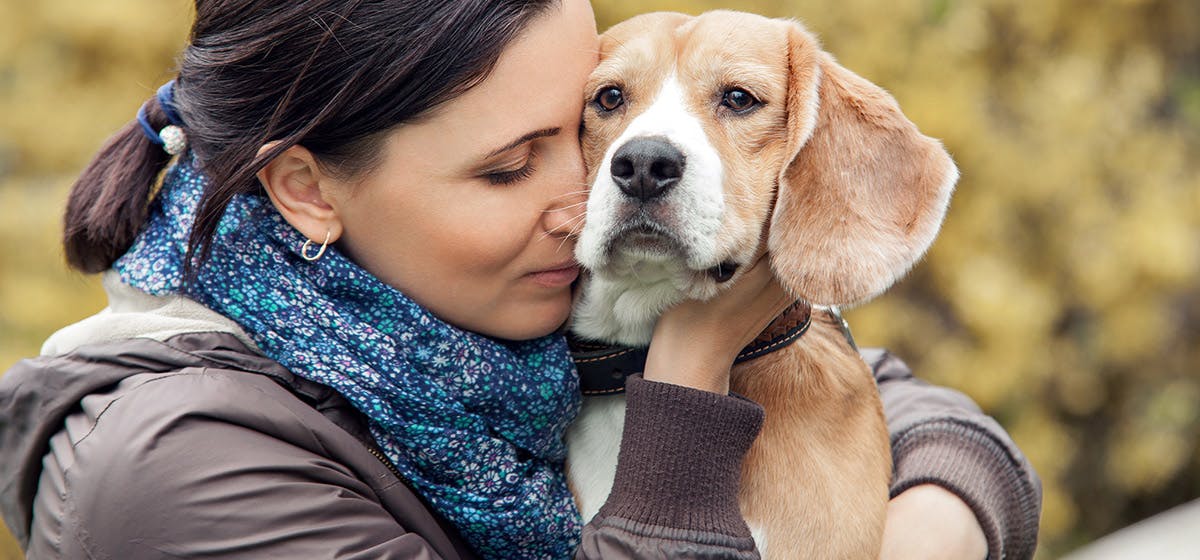 can dogs tell when youre sad