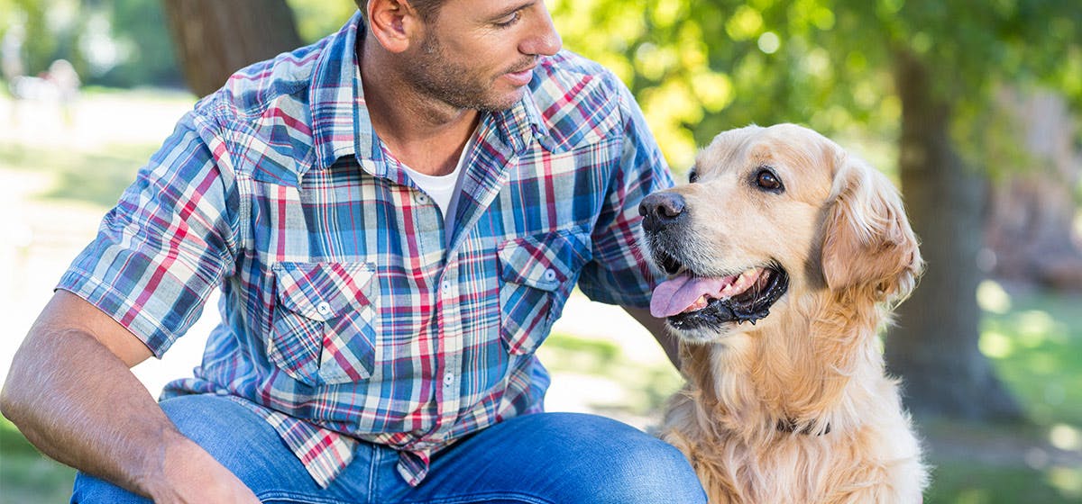 can-dogs-help-with-panic-attacks