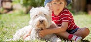 Can Dogs Help With ADHD Wag 