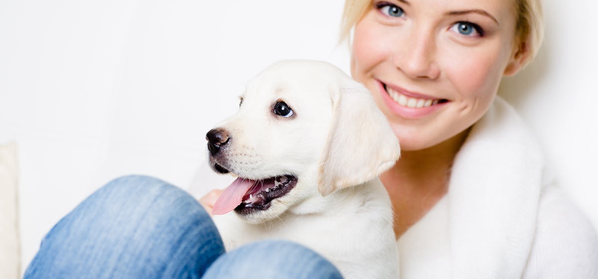 can-dogs-see-human-teeth