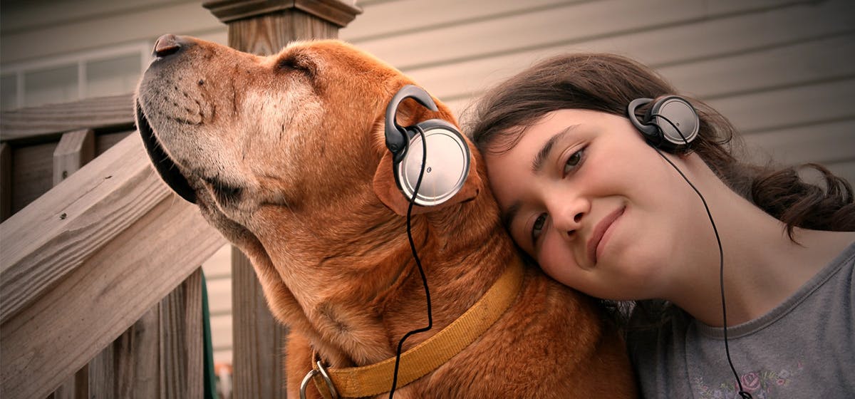 can-dogs-hear-radio