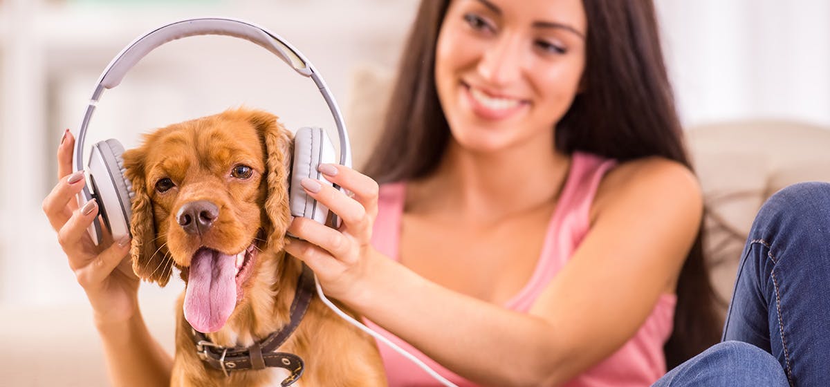 can-dogs-hear-music-from-speakers