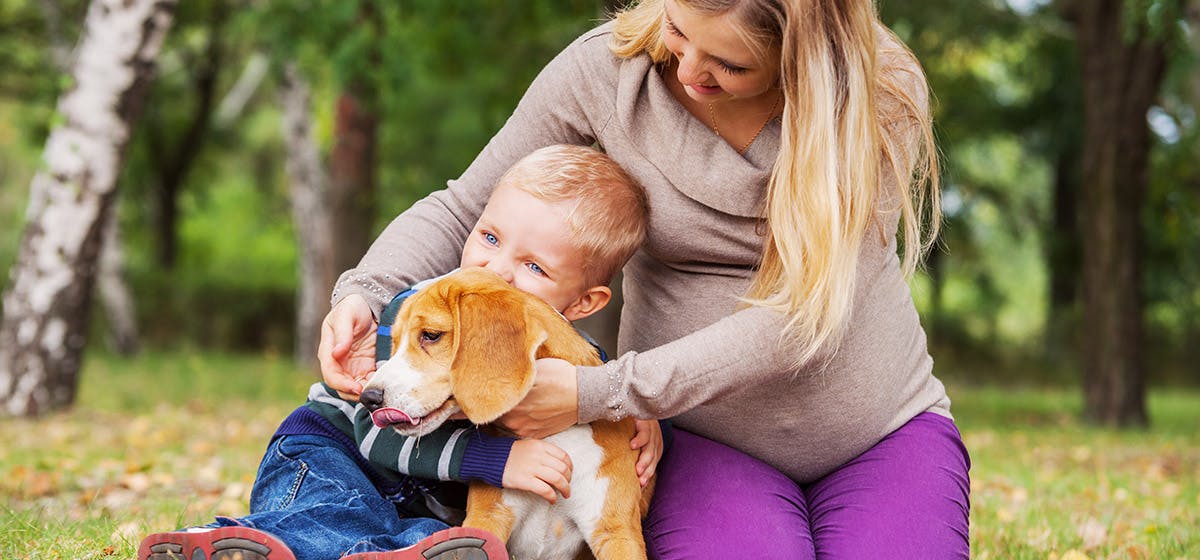 Training of Can Dogs Tell a Baby's Gender?