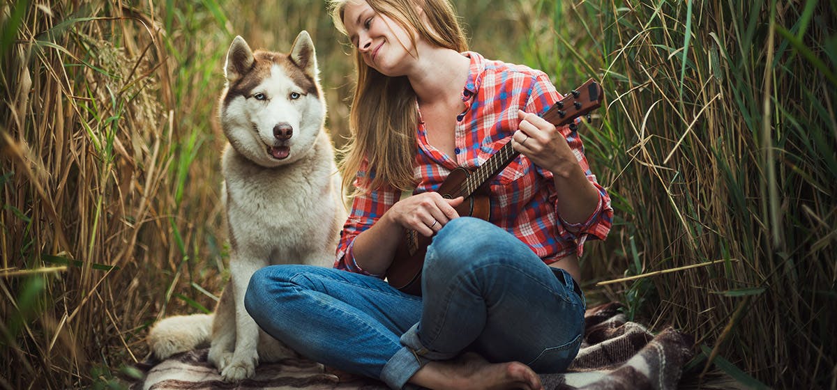 Do dogs like you to sing to them