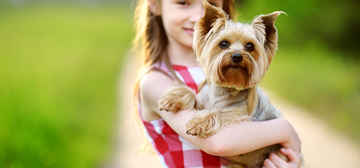 can dogs eat cranberries and almonds