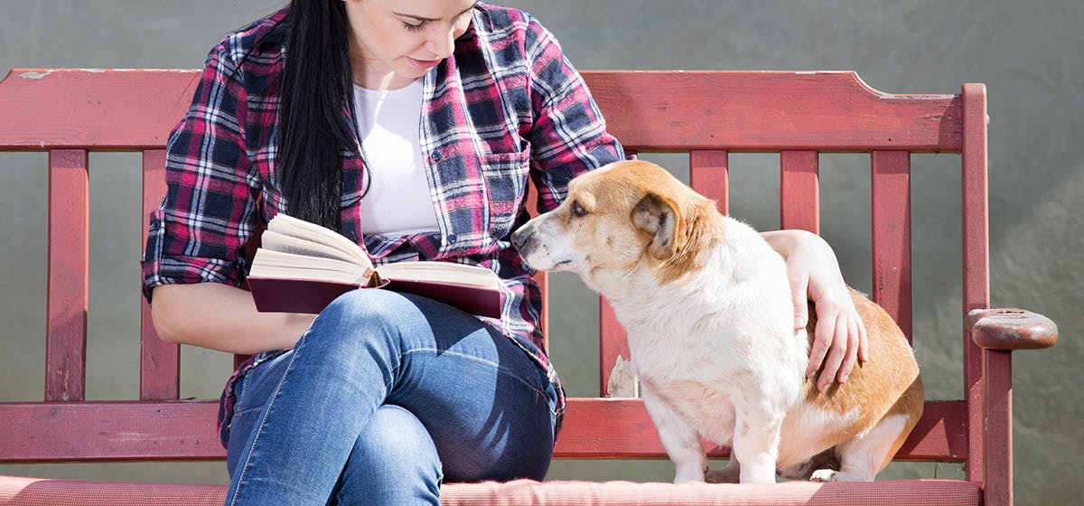 can-dogs-know-how-to-read
