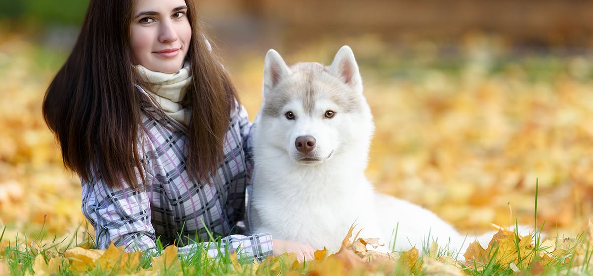 can dogs and cats sense supernatural