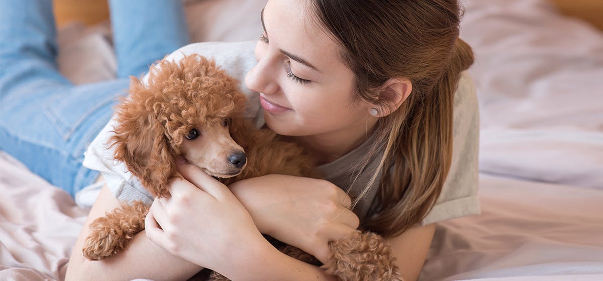 can-your-dog-sense-youre-sick