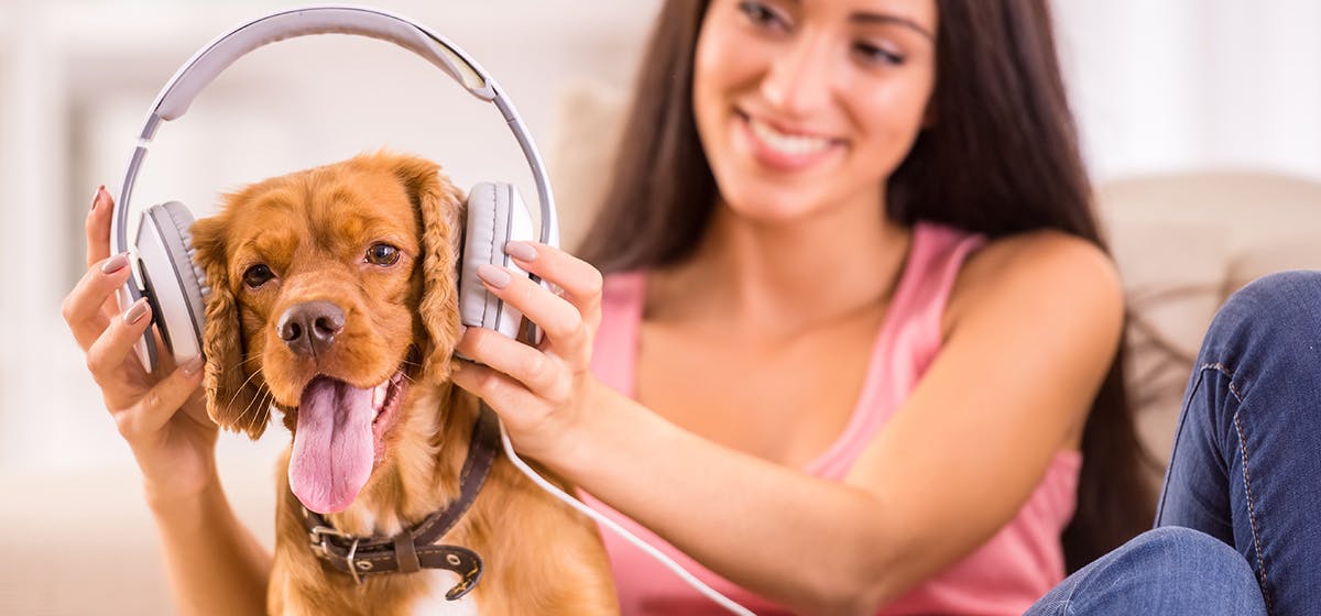 can-dogs-hear-music-through-headphones