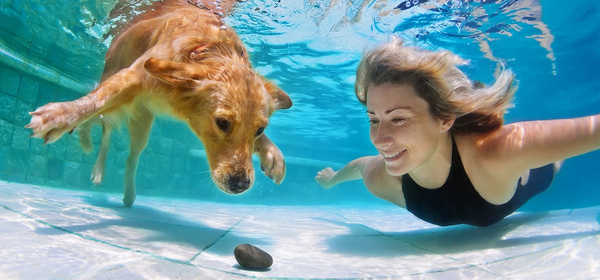 can dogs put their noses underwater