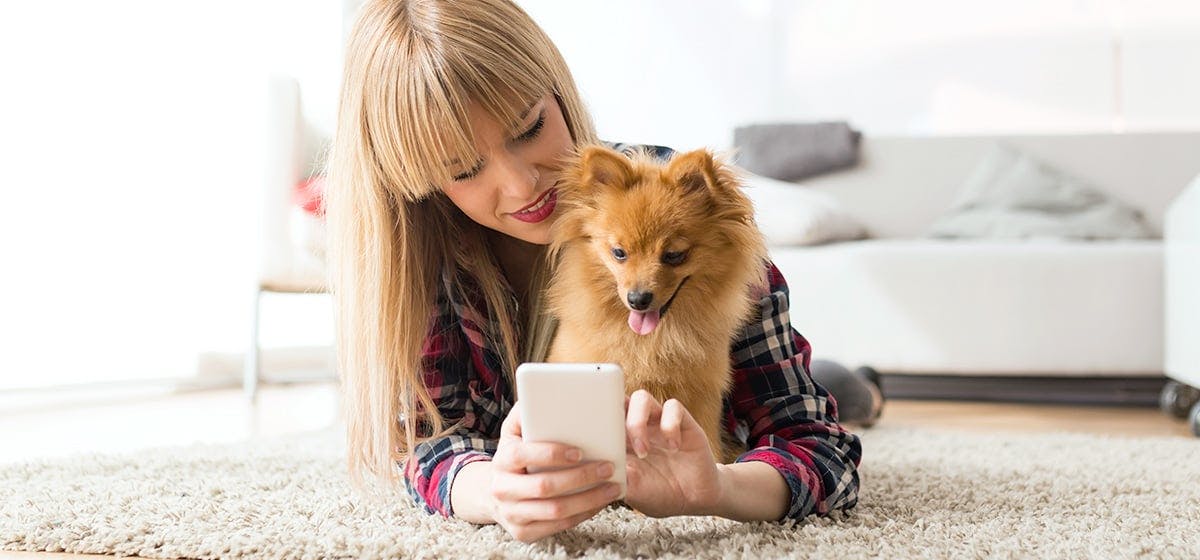 can-dogs-hear-over-the-phone