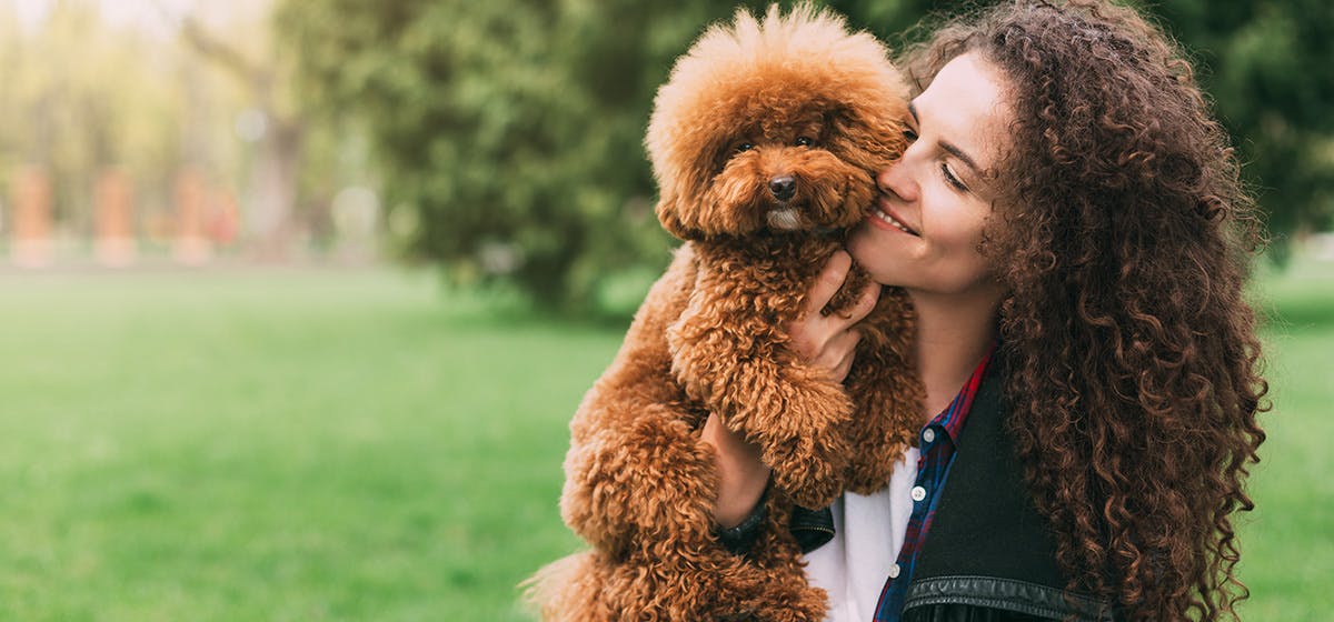 can-dogs-hear-lower-frequencies-than-humans