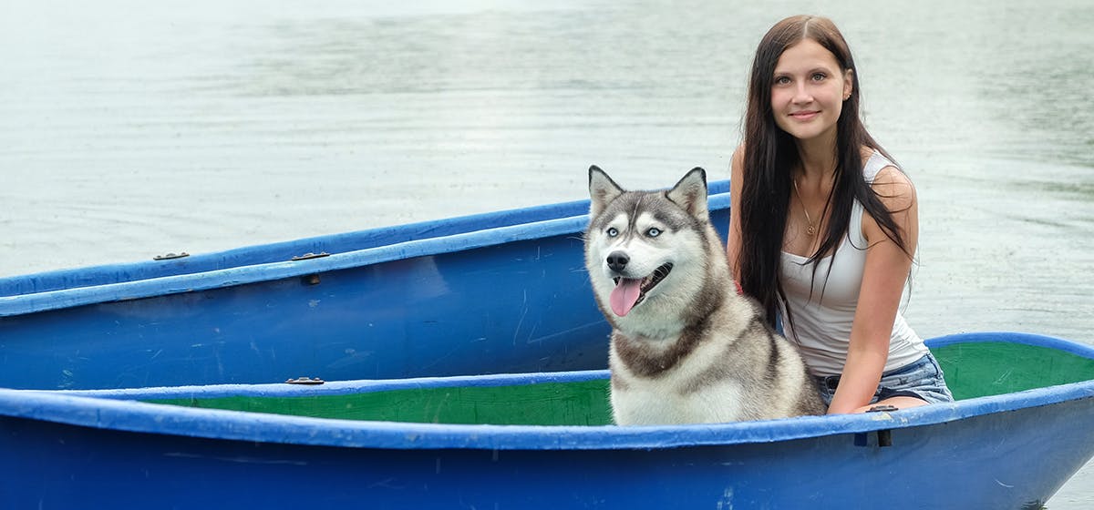 can-dogs-live-on-sailboats