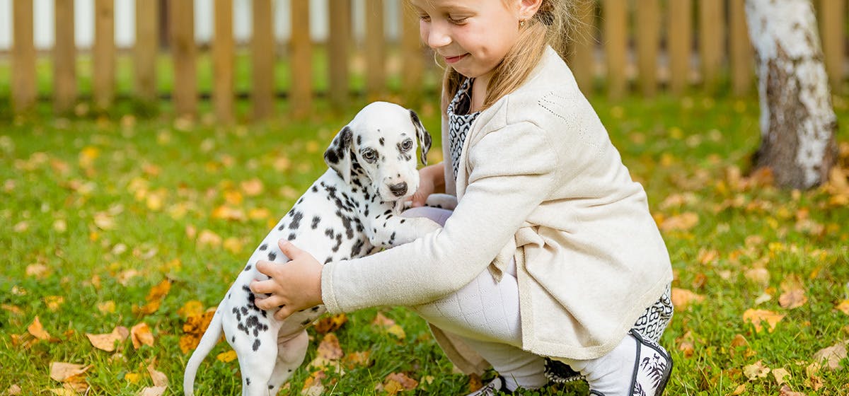 can-dogs-detect-carbon-monoxide