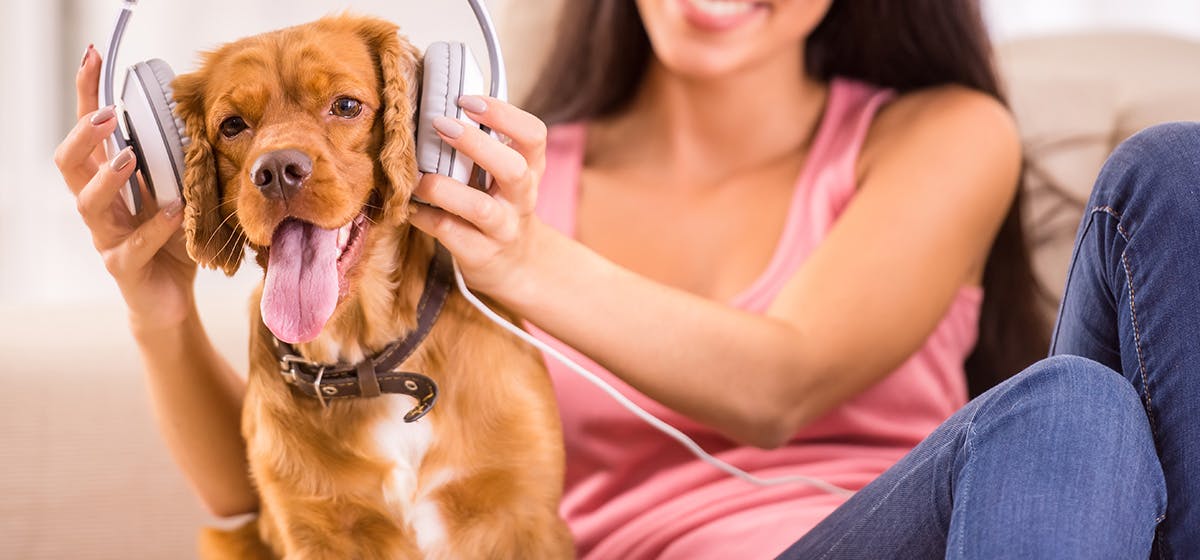 can-dogs-hear-sounds-that-humans-cannot