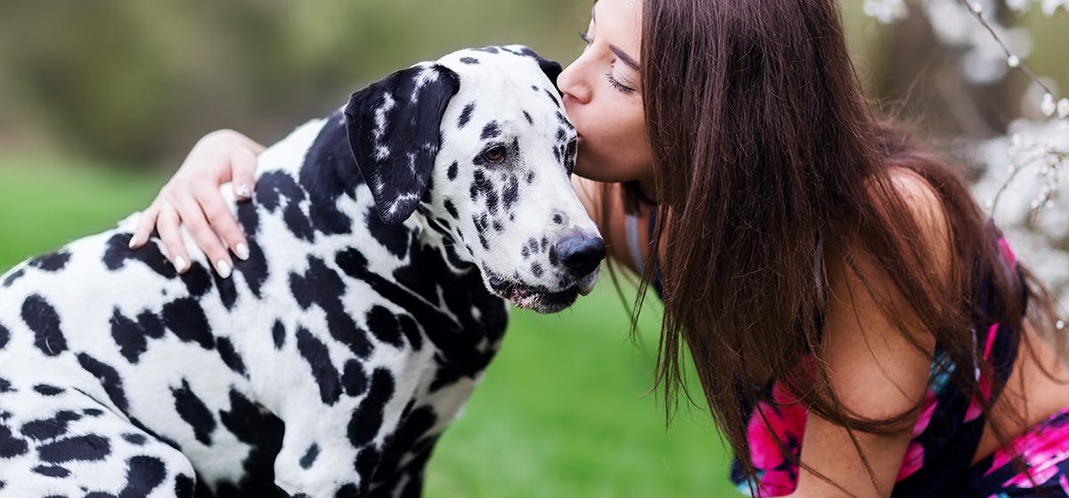 do dogs like cuddles and kisses