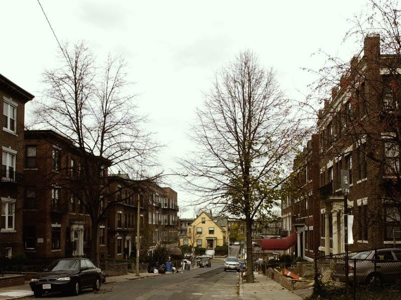 Top Dog Walkers in Roxbury, Boston Wag!