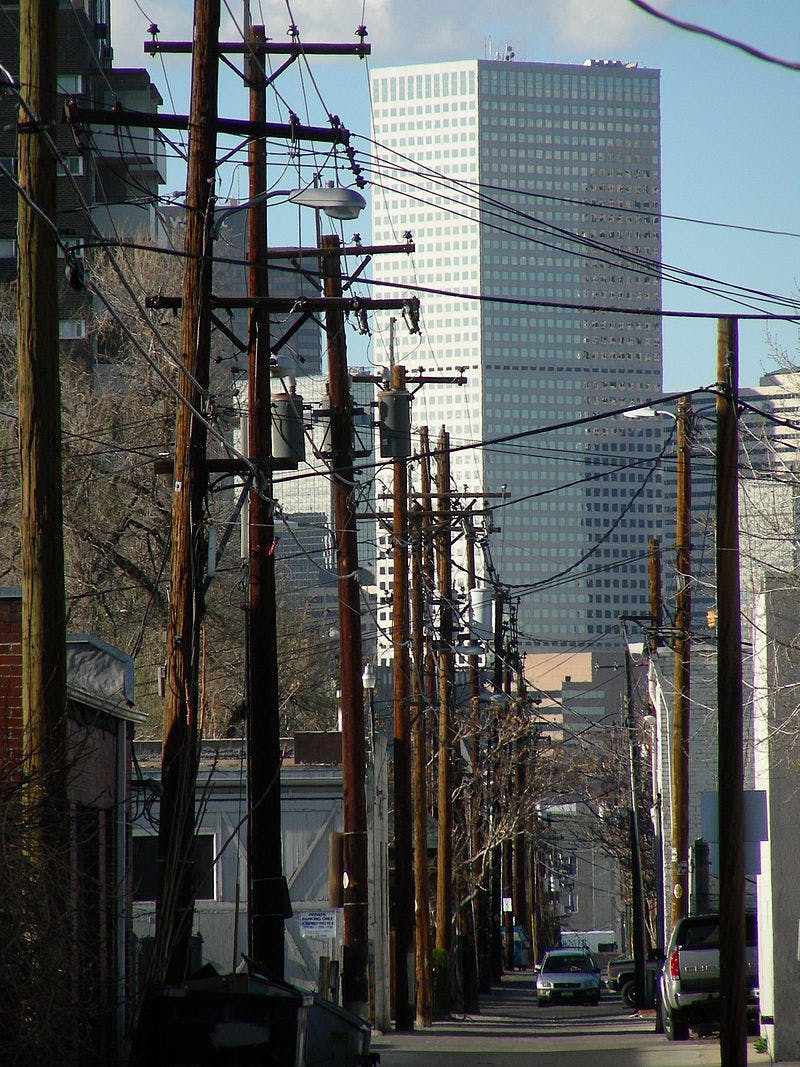 Top Dog Walkers in Denver, CO Wag!