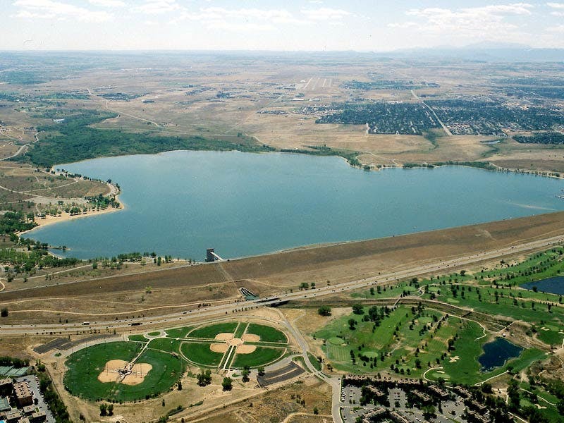 Top Dog Walkers in co Wag!