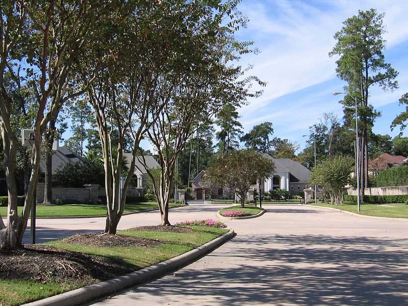 Top Dog Walkers in Cypress, TX Wag!