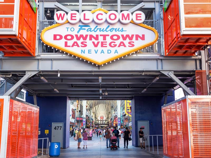 Top Dog Walkers in Summerlin South, NV Wag!