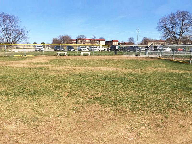 Top Dog Walkers in Omaha, NE Wag!