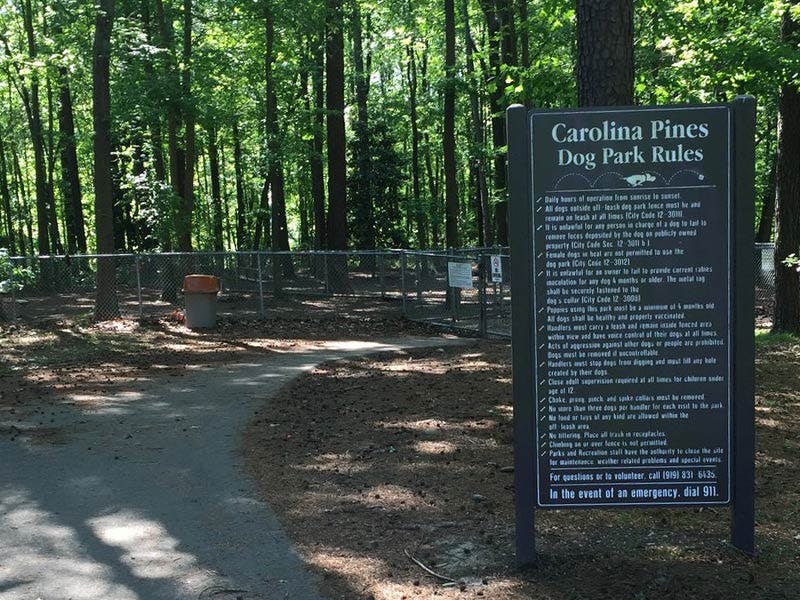 Carolina Pines