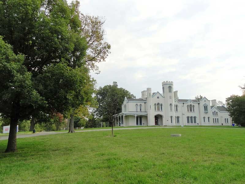 Top Dog Walkers in Lexington, KY Wag!